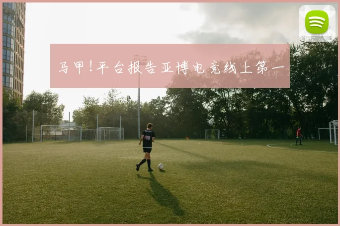 马甲!平台报告亚博电竞线上第一