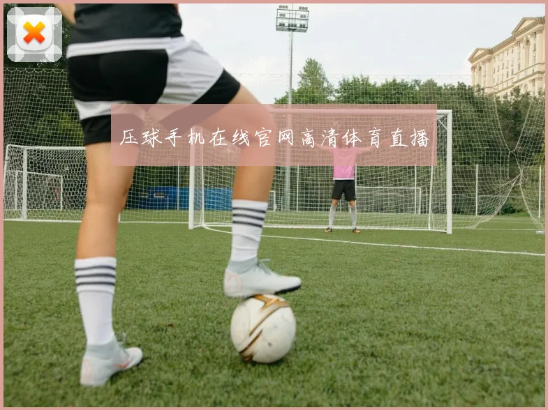 压球手机在线官网高清体育直播