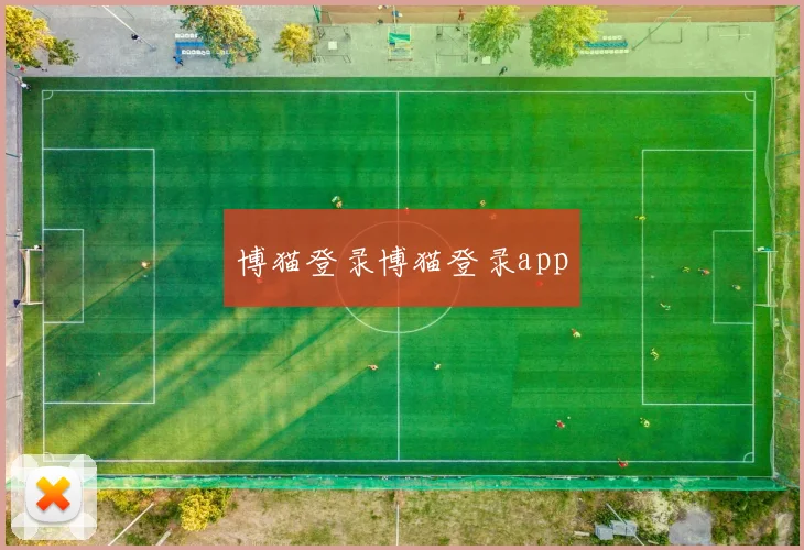 博猫登录博猫登录app