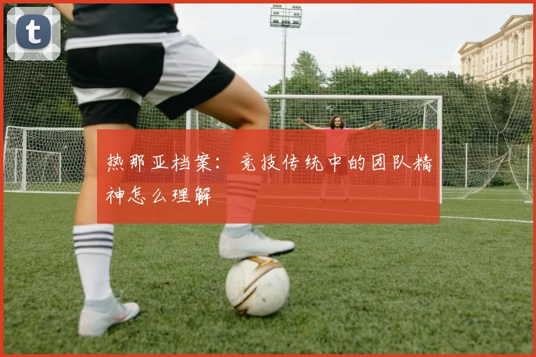 热那亚档案:竞技传统中的团队精神怎么理解