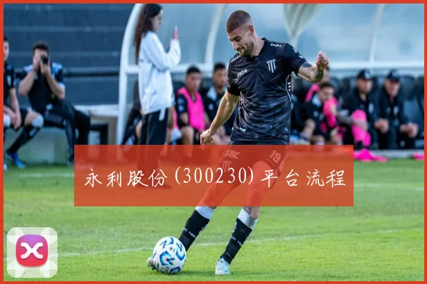 永利股份(300230)平台流程