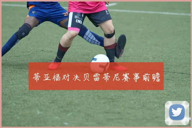 蒂亚福对决贝雷蒂尼赛事前瞻