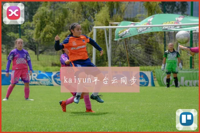 kaiyun平台云同步