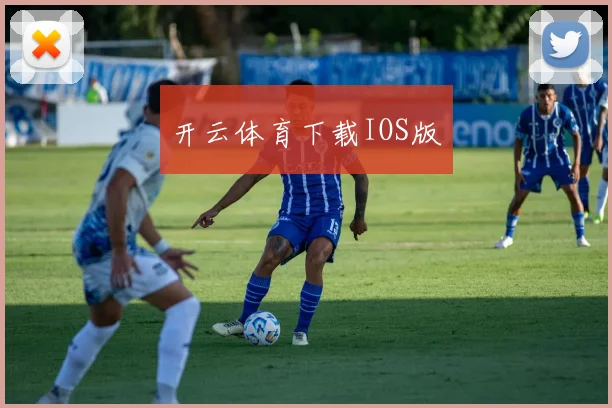 开云体育下载IOS版