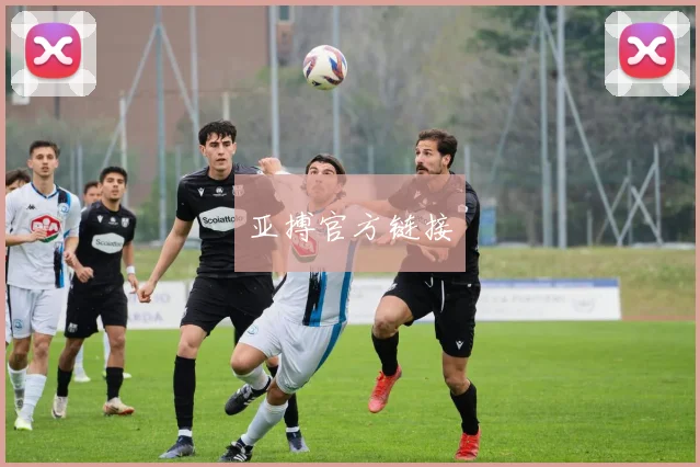 亚搏官方链接