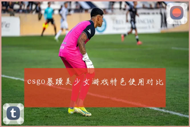 csgo暴躁美少女游戏特色使用对比