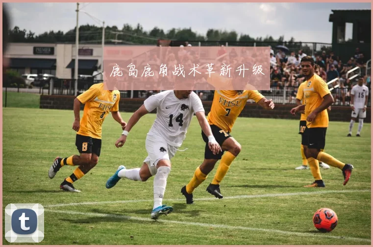 鹿岛鹿角战术革新升级