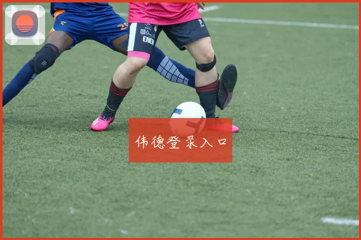 伟德登录入口