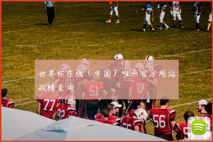 世界杯在线（中国）唯一官方网站战绩查询