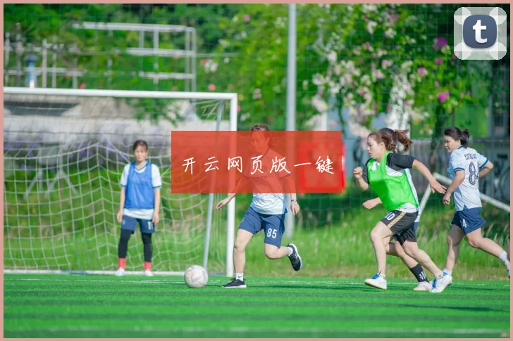 开云网页版一键