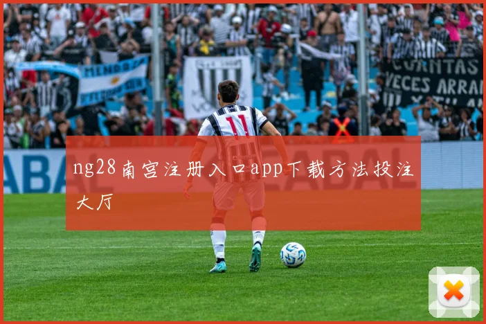 ng28南宫注册入口app下载方法投注大厅