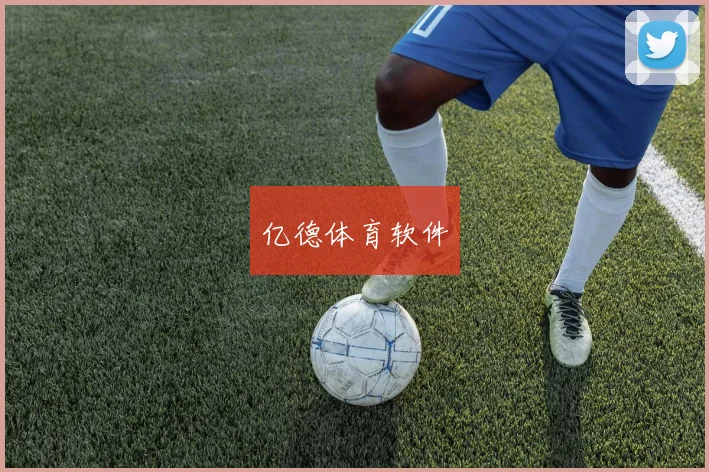 亿德体育软件