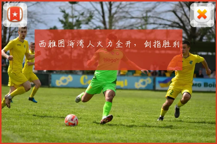 西雅图海湾人火力全开，剑指胜利