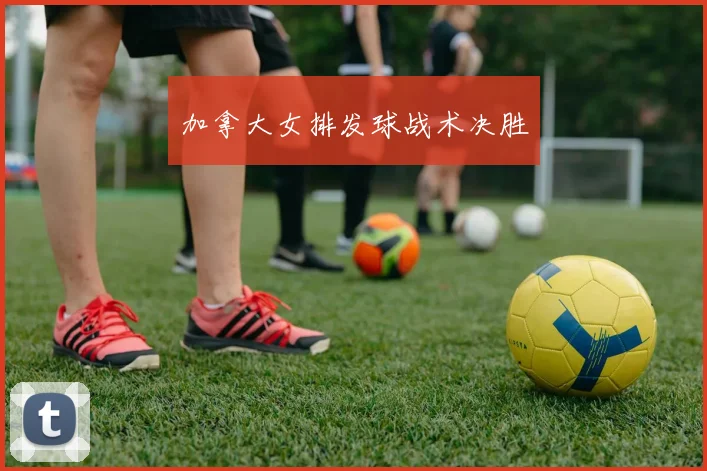 加拿大女排发球战术决胜