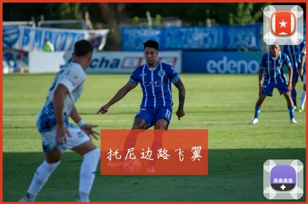 托尼边路飞翼