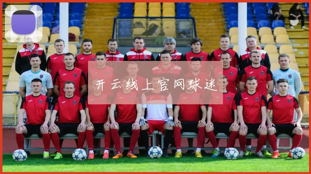 开云线上官网球迷