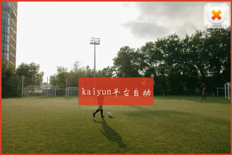 kaiyun平台自动