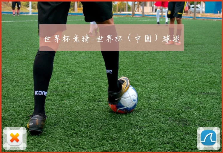 世界杯竞猜_世界杯（中国）球迷