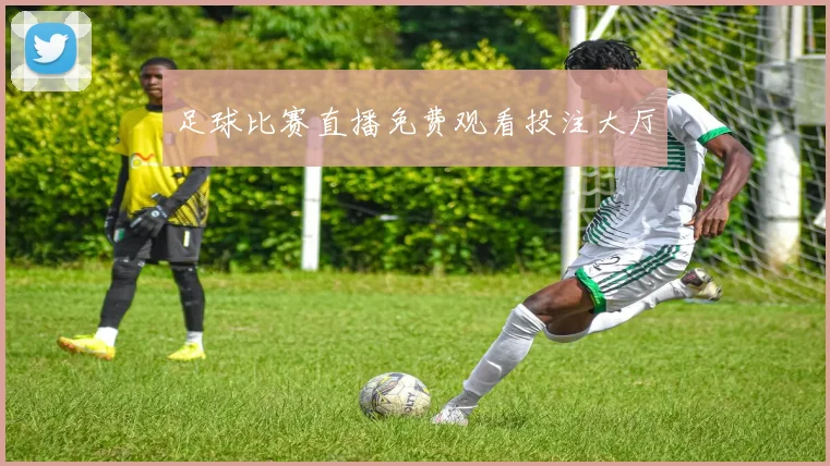 足球比赛直播免费观看投注大厅