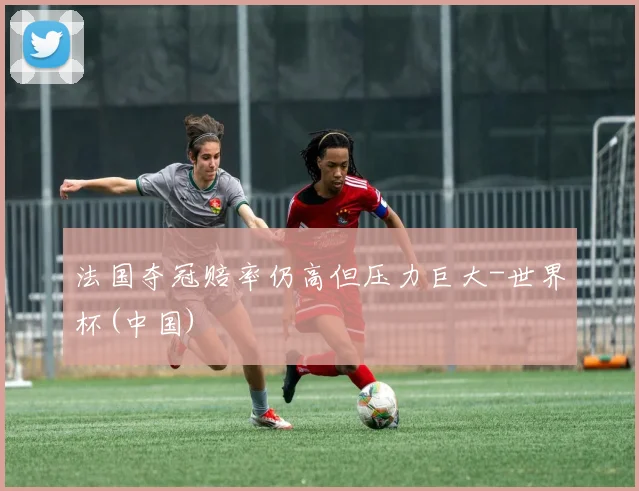 法国夺冠赔率仍高但压力巨大-世界杯(中国)