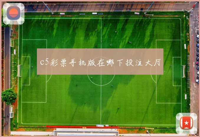 c5彩票手机版在哪下投注大厅