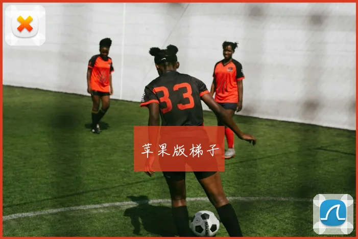 苹果版梯子