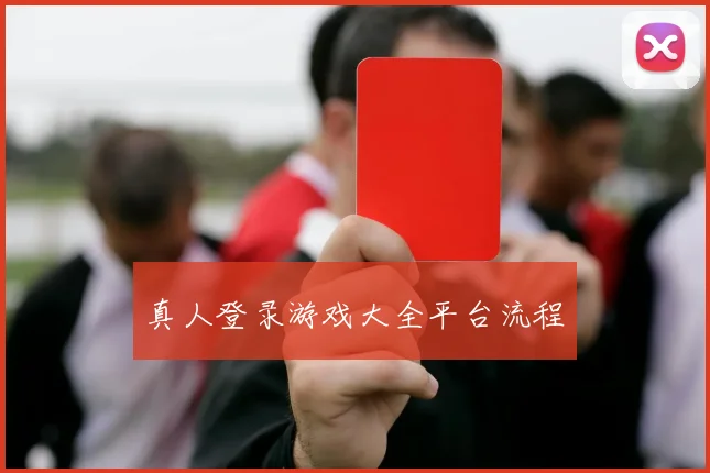 真人登录游戏大全平台流程