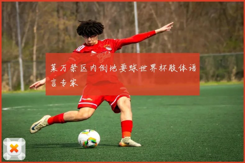 莱万禁区内倒地要球世界杯肢体语言专家
