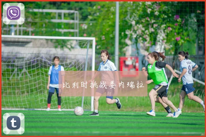 比利时挑战委内瑞拉