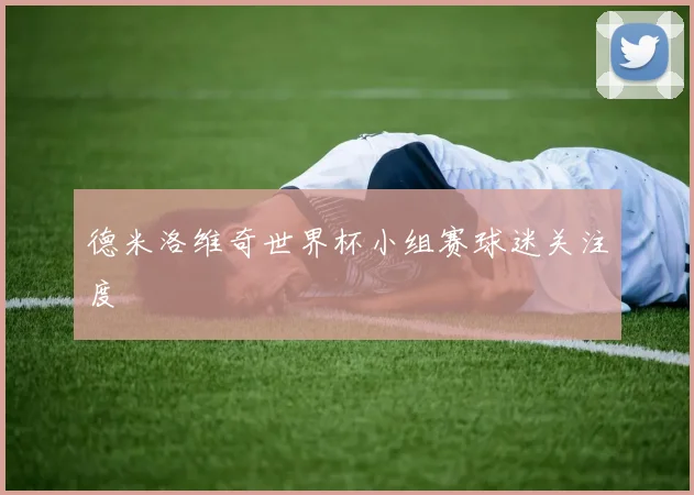 德米洛维奇世界杯小组赛球迷关注度