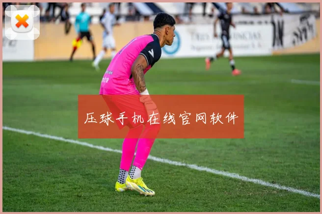 压球手机在线官网软件