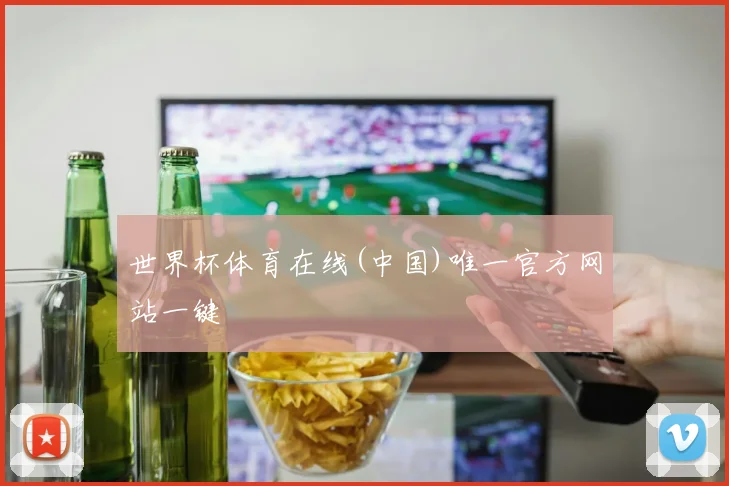 世界杯体育在线(中国)唯一官方网站一键