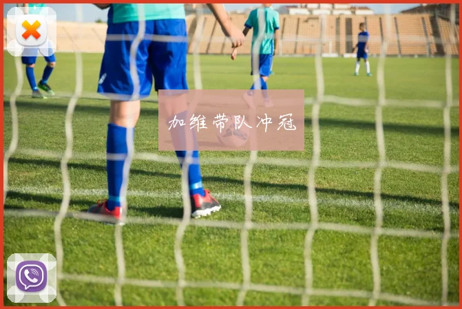 加维带队冲冠