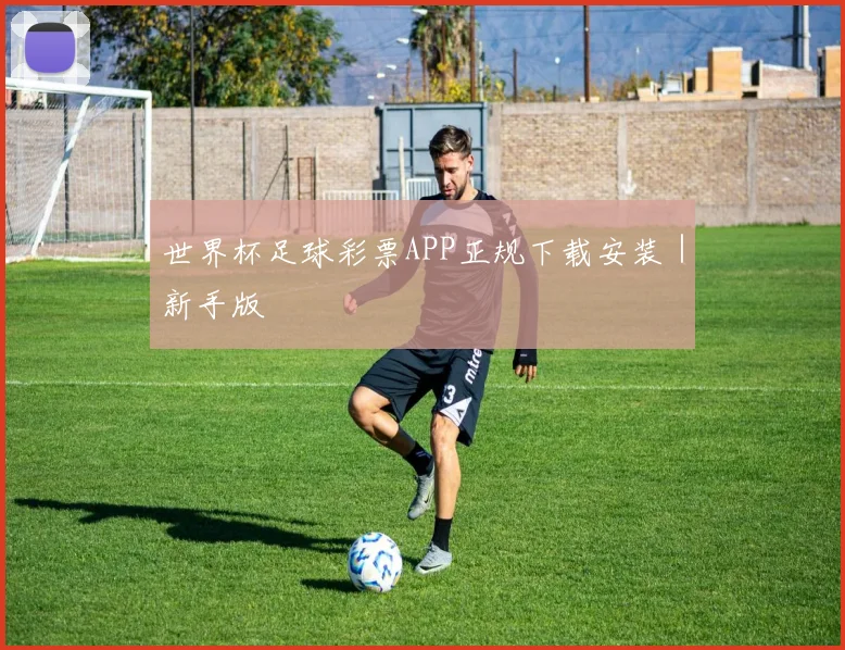 世界杯足球彩票APP正规下载安装|新手版