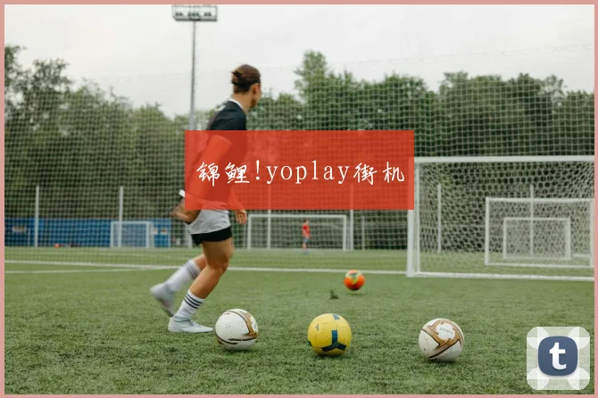 锦鲤!yoplay街机