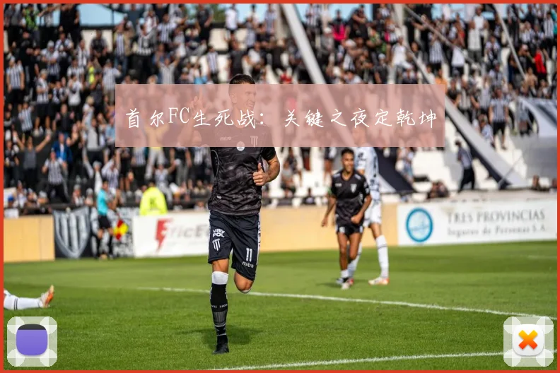 首尔FC生死战：关键之夜定乾坤