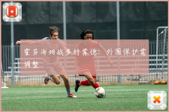 霍芬海姆战多特蒙德：外围保护需调整